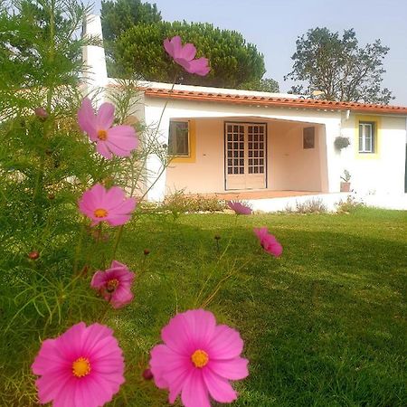 Sondela Self Catering Vila São Martinho do Porto Exterior foto