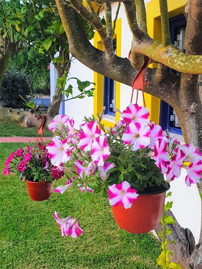Sondela Self Catering Vila São Martinho do Porto Exterior foto