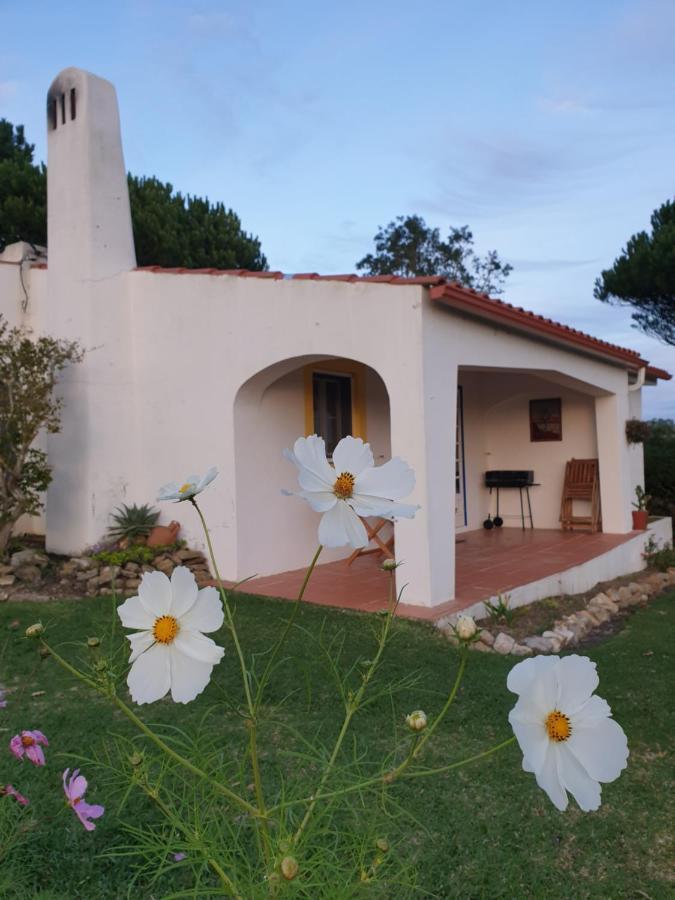 Sondela Self Catering Vila São Martinho do Porto Exterior foto