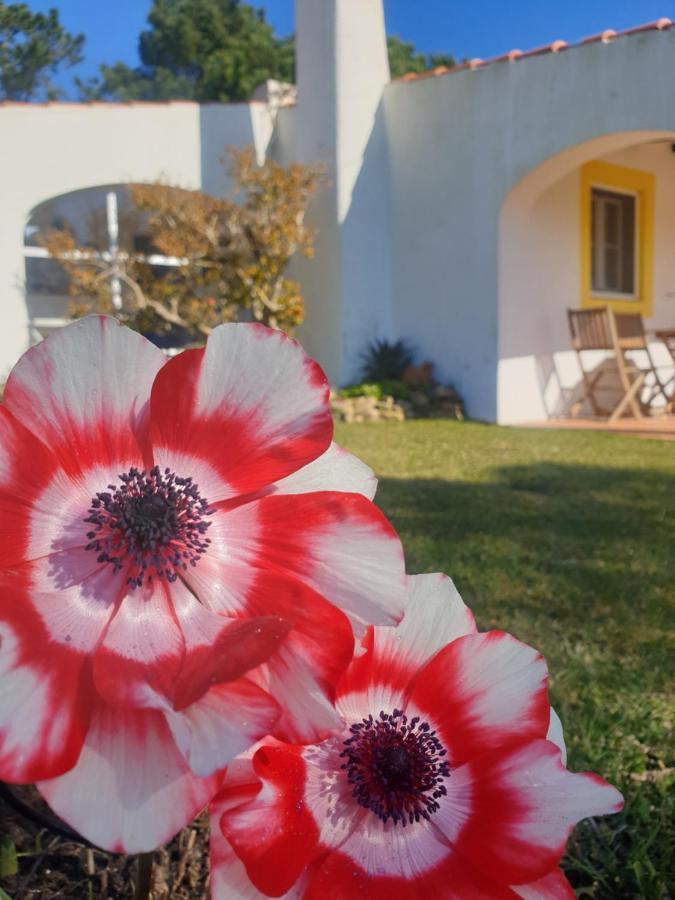 Sondela Self Catering Vila São Martinho do Porto Exterior foto