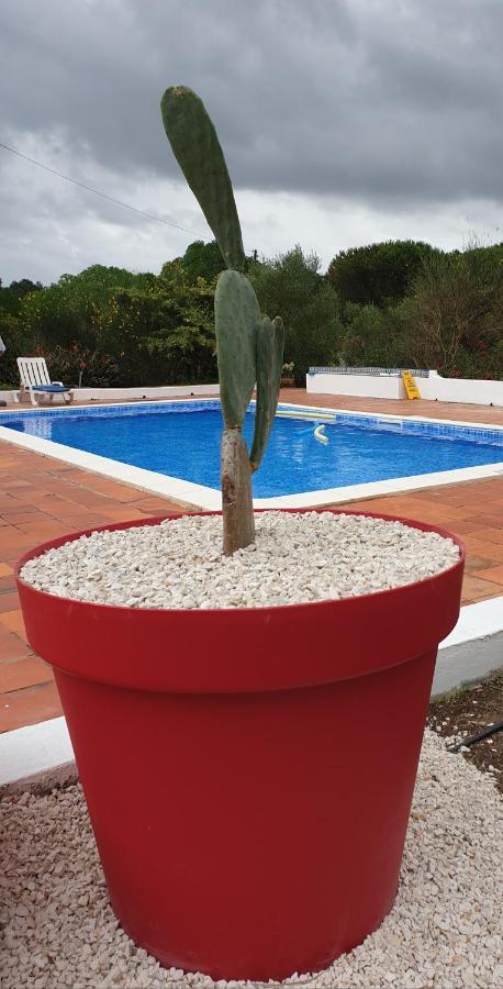 Sondela Self Catering Vila São Martinho do Porto Exterior foto